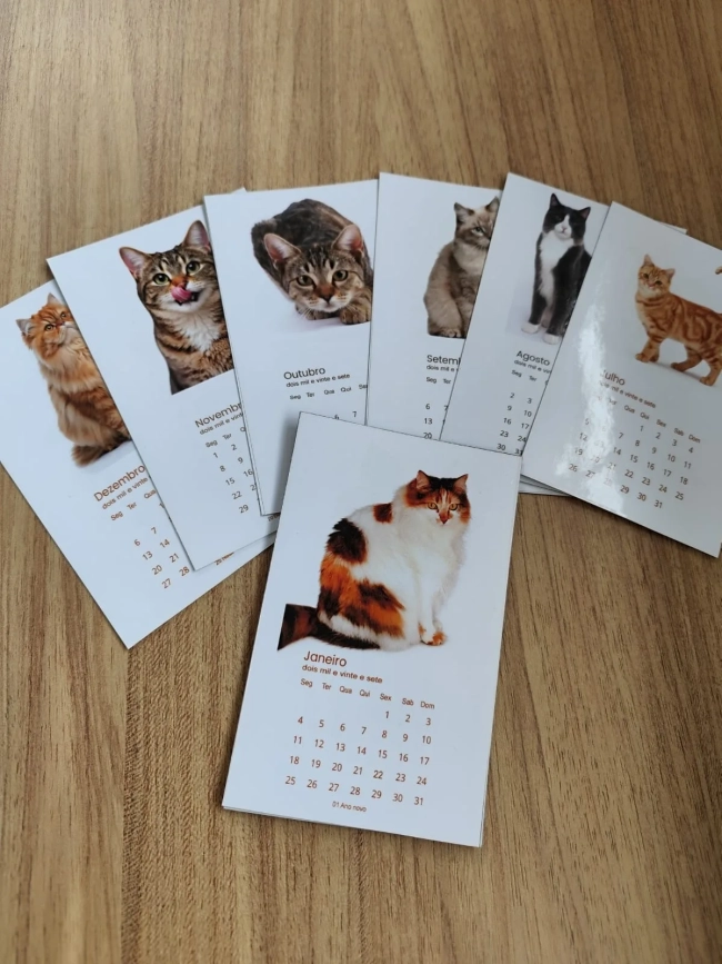 Coleção Felinos - Calendários magnéticos 2027