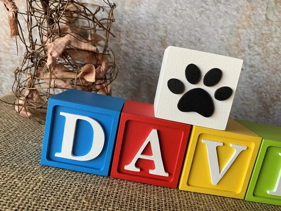 Cubos 6x6cm Patrulha Canina Ts