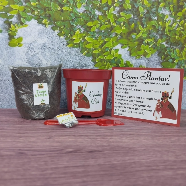 20 UNIDADES Kit Jardinagem Lembrancinhas Iansã - Oyá  - Trabalhamos com qualquer tema - Informar tema no chat