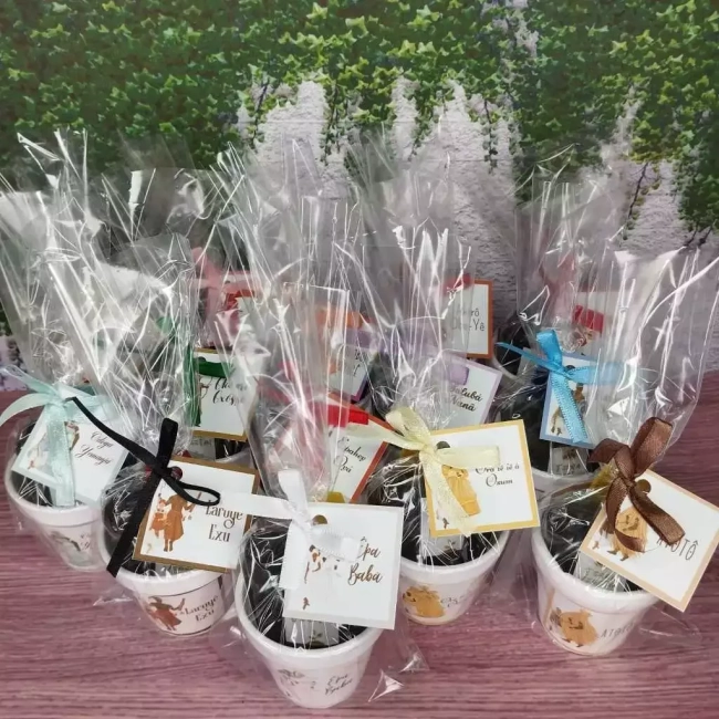 20 UNIDADES Kit Jardinagem Lembrancinhas Orixás (INFORMAR TEMA NO CHAT)