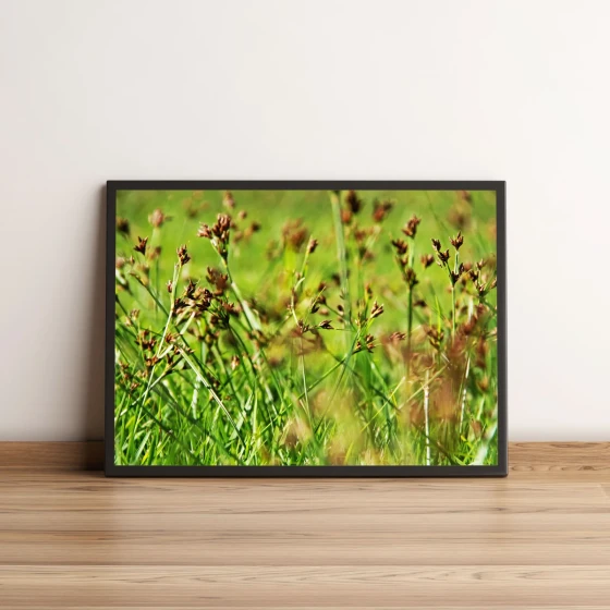 Quadro Jardim de Folhas Verdes 427