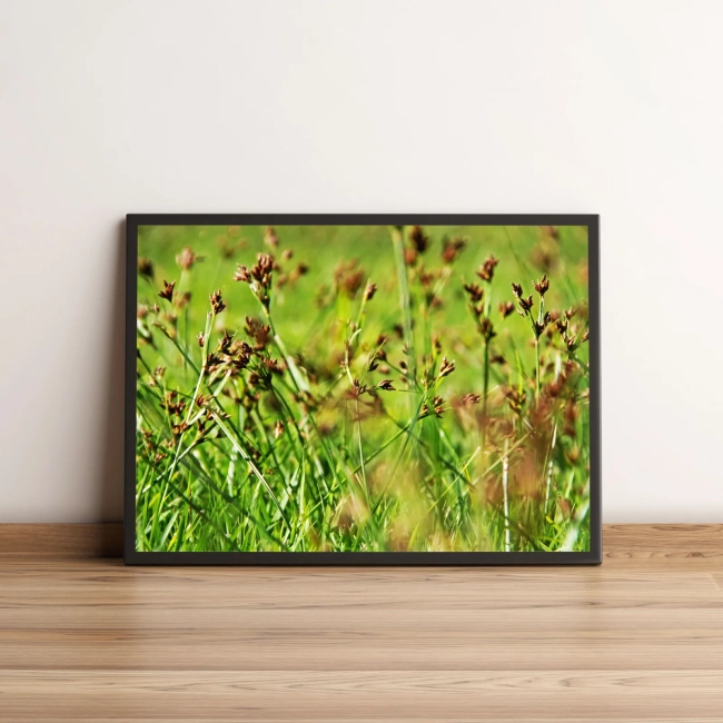 Quadro Jardim de Folhas Verdes 427