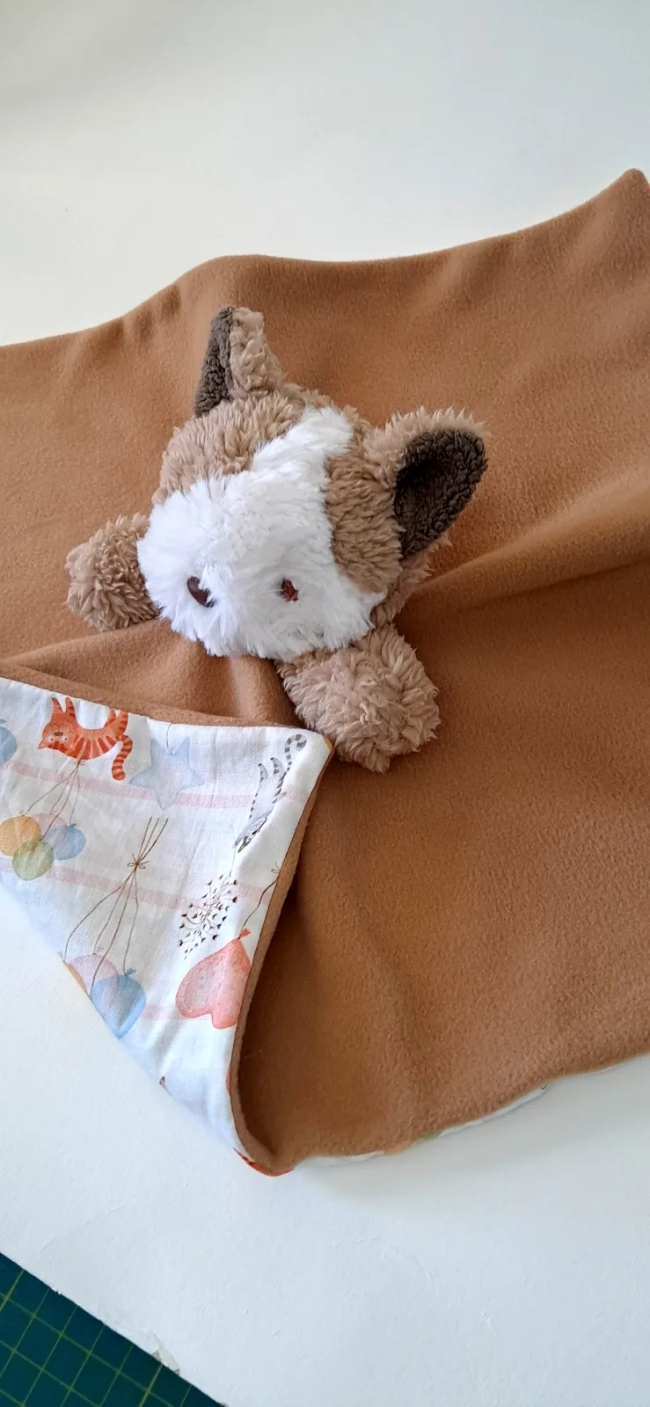 Naninha Gatinho Persa