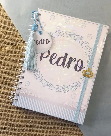 Caderneta de Saúde / Vacinação Personalizada - Clean Azul