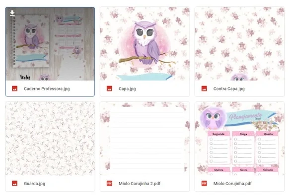 Arquivo Digital Caderno Professora Coruja - Cód.: 60