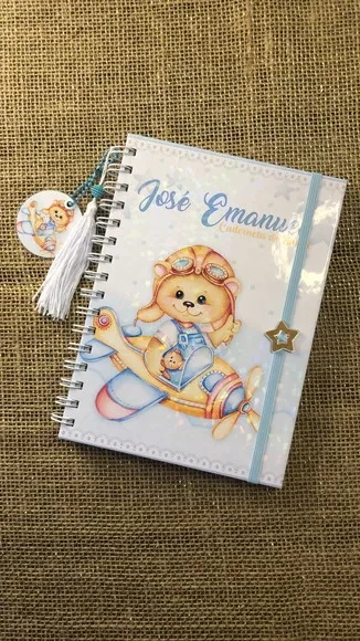 Caderneta de Saúde Vacinação Personalizada Ursinho Aviador