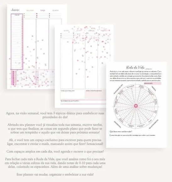 Planner Permanente Corações