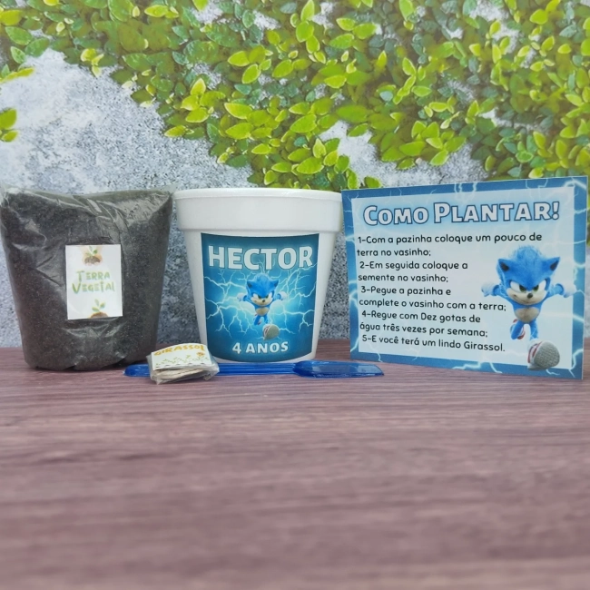 25 Uni. Kit Jardinagem + 25 Uni. Kit Massinha Zip Lock - Sonic  - Informar o tema no chat da compra.