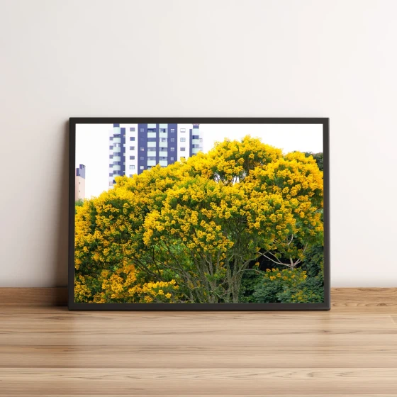 Quadro Árvore com Folhas Amarelas 563