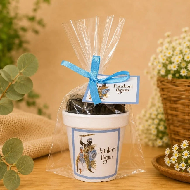 45 Kit Jardinagem Lembrancinhas Ogum - São Jorge - Trabalhamos com qualquer tema - Informar tema no chat