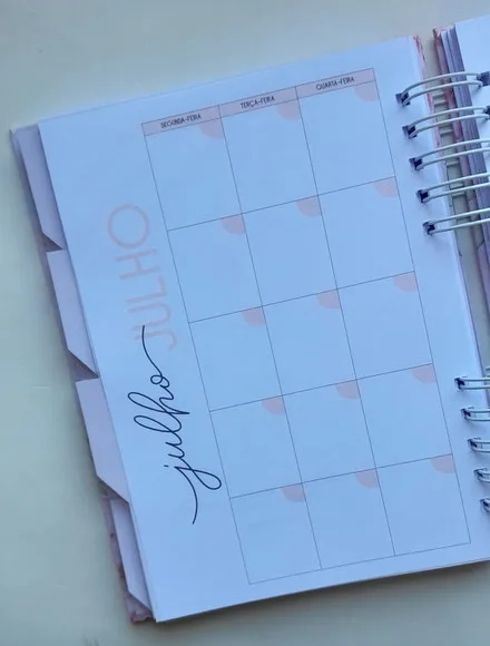 Planner Empreendedor Mod 01 + Divisórias - Escolha a Capa