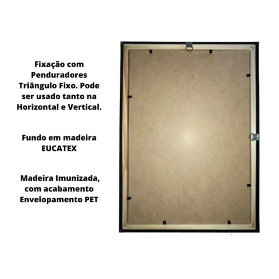 Quadro Pássaros Gaivota Voando 354