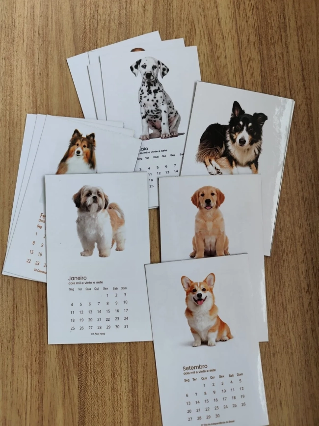 Coleção Dogs - Calendários magnéticos 2027