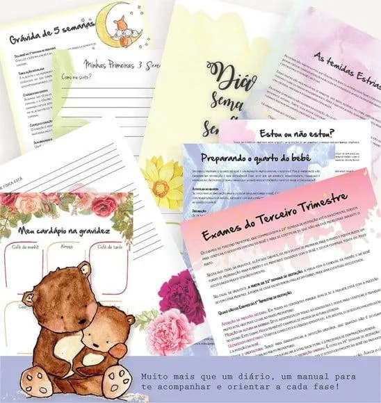 Manual e Diário de Gravidez