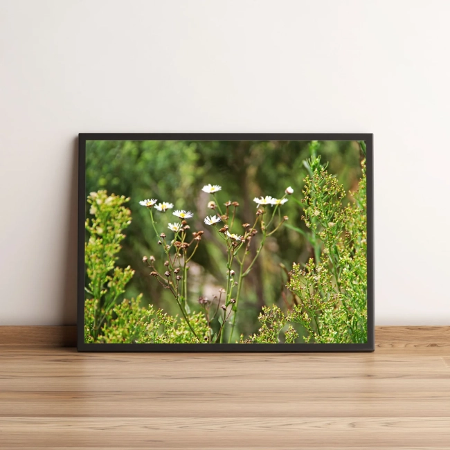 Quadro Decorativo com Flores Brancas em Jardim Verde 1993