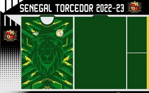 Vetor Da Camisa Senegal Torcedor 2022-23