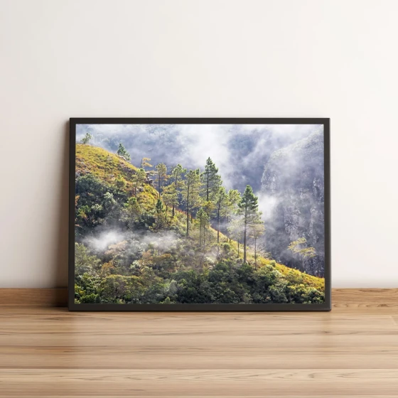 Quadro Árvore Em Montanha Entre Nuvens 49