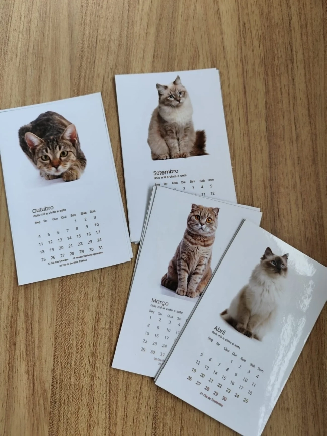 Coleção Felinos - Calendários magnéticos 2027
