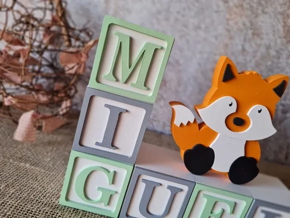 Cubos 6x6cm TS + RAPOSA