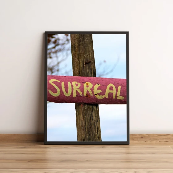 Quadro Placa Surreal 105