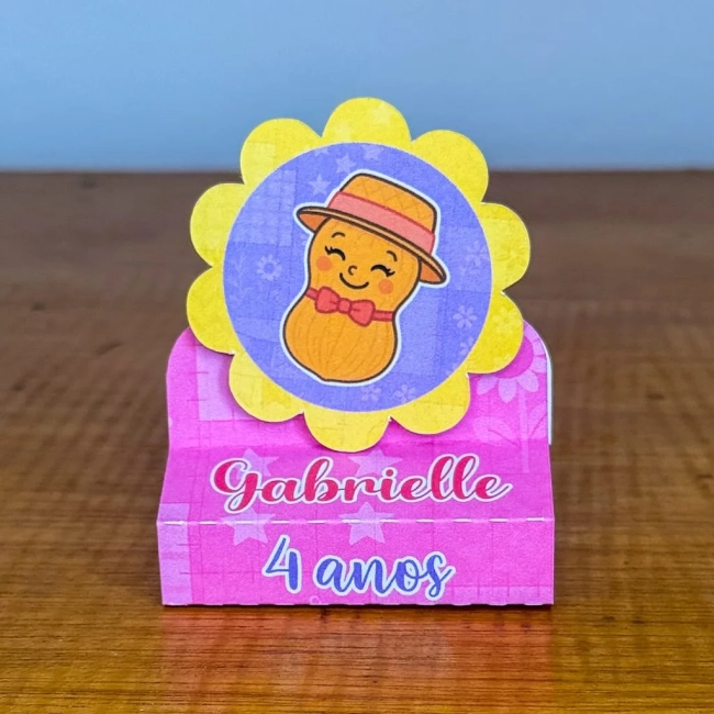 PEGUE E MONTE - Porta Bis Duplo Personalizados FESTA JUNINA ROSA - Decoração de Festa | Lembrancinhas | Aniversário | Personalizados