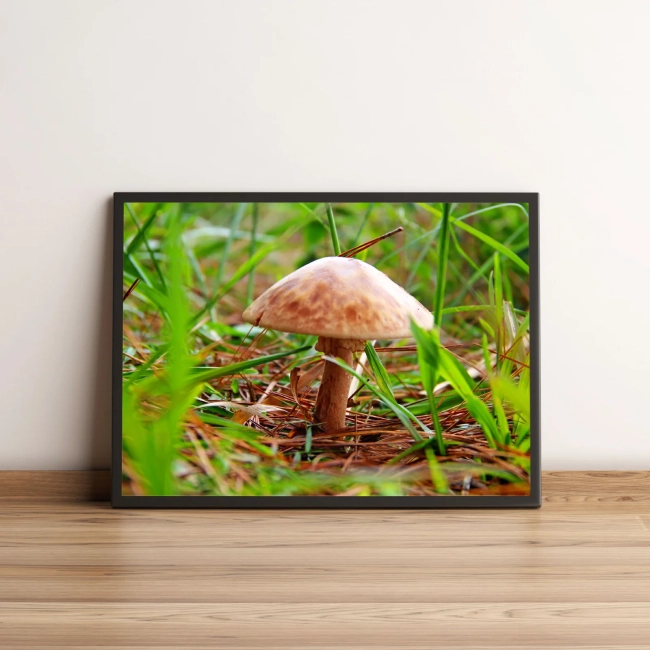 Quadro Cogumelo Entre Folhas 32