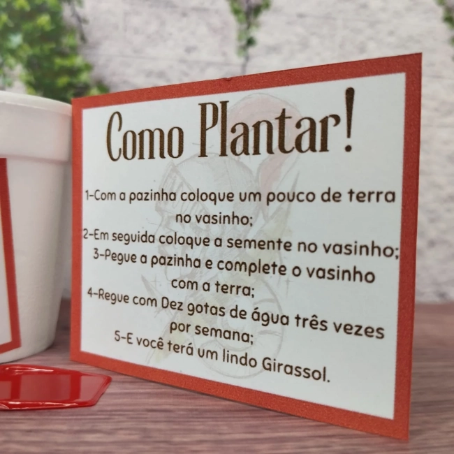 45 Kit Jardinagem Lembrancinhas Ogum - São Jorge - Trabalhamos com qualquer tema - Informar tema no chat