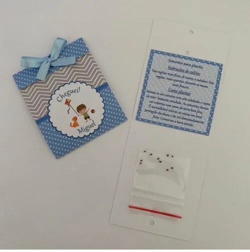 Lembrança Maternidade Sementinha Amor perfeito Pipa e bola