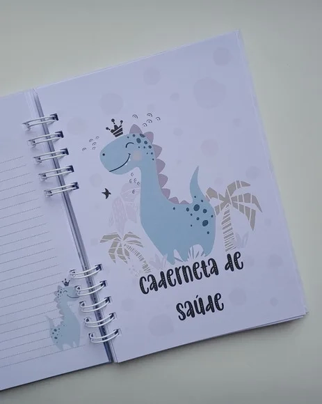 Caderneta Vacina c/ Acessórios - Escolha o Tema