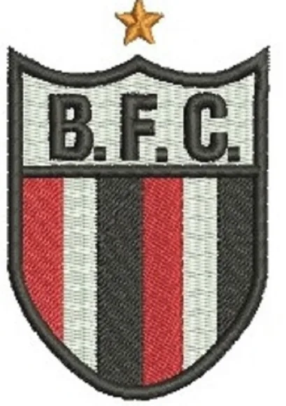 Matriz de Bordado Botafogo F.c. Ribeirão Preto