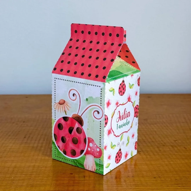PEGUE E MONTE - Kit Festa JOANINHA - Decoração de Festa | Lembrancinhas | Aniversário | Personalizados