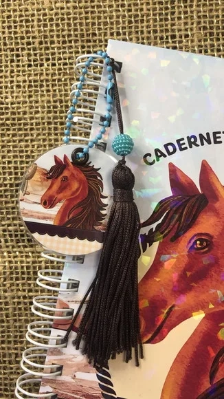 Caderneta de Saúde / Vacinação Personalizada - Cavalinho