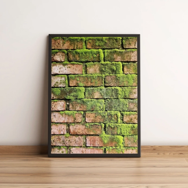 Quadro Decorativo Parede de Tijolos com Musgo Verde 2263