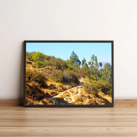 Quadro Trilha em Paisagem Natural com Árvores Verdes 1532