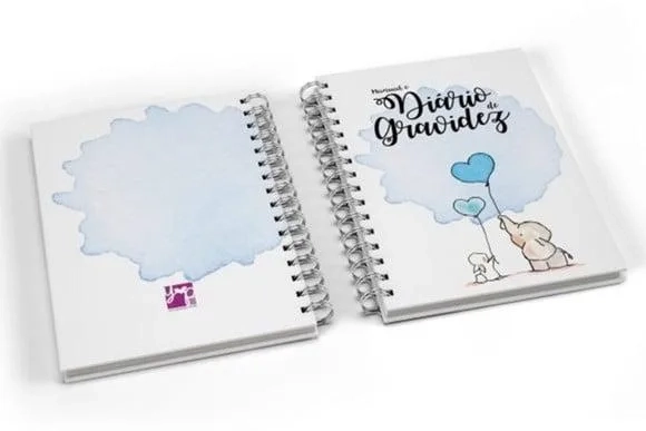 Manual e Diário de Gravidez