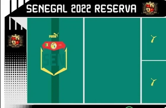 Vetor Da Camisa De Senegal 2022 Reserva