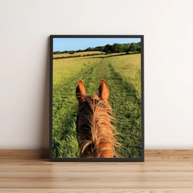 Quadro com Cena de Passeio a Cavalo no Campo 17