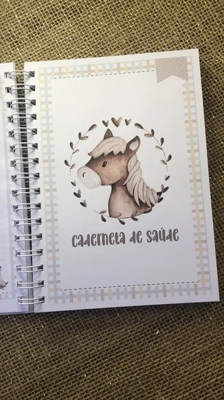 Caderneta de Saúde / Vacinação Personalizada - Cavalinho