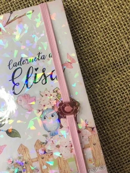 Caderneta de Saúde / Vacinação Personalizada - Passarinhos