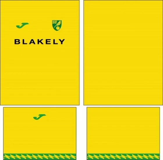 Arte Vetor Camisa Norwich City Local 2025-2026