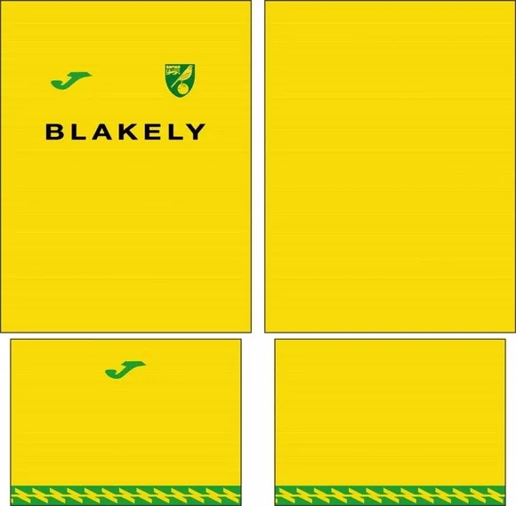Arte Vetor Camisa Norwich City Local 2025-2026