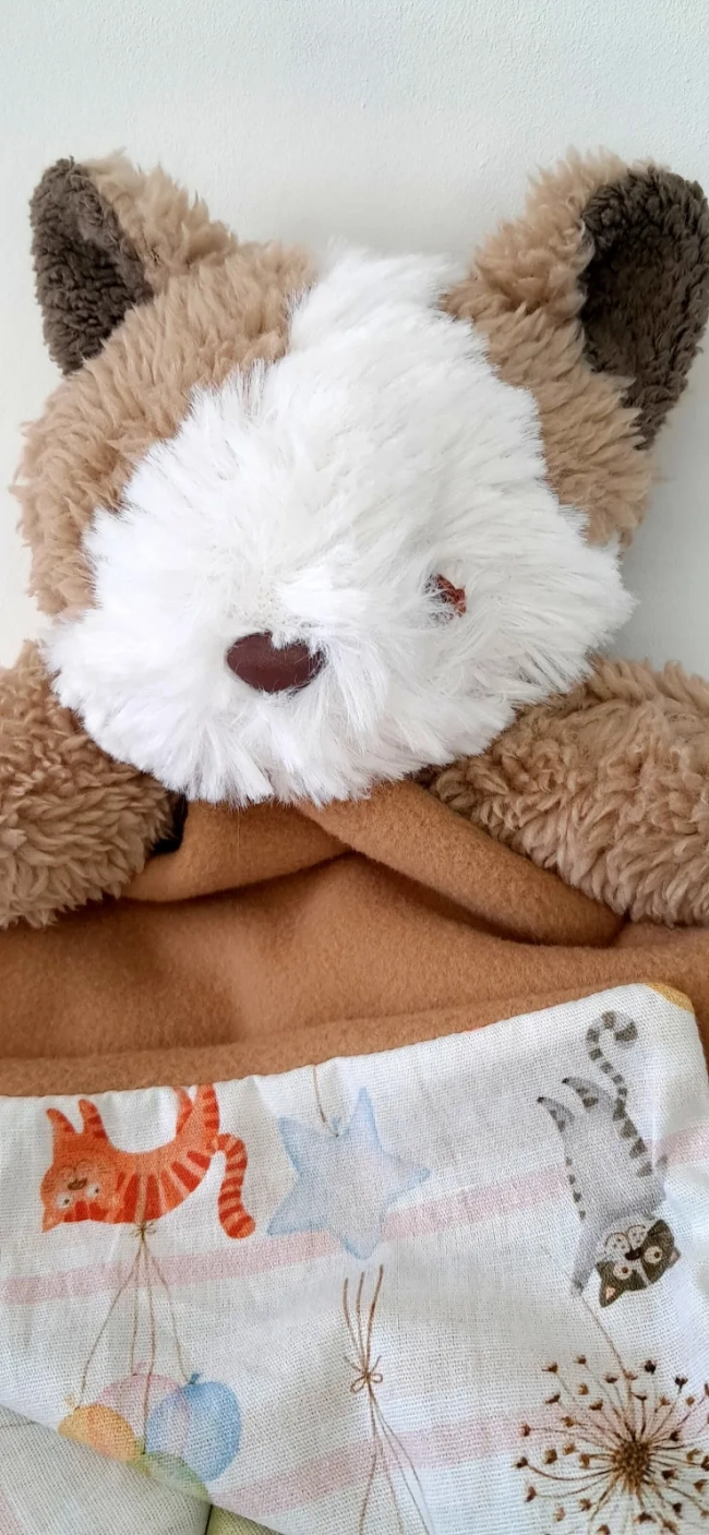 Naninha Gatinho Persa
