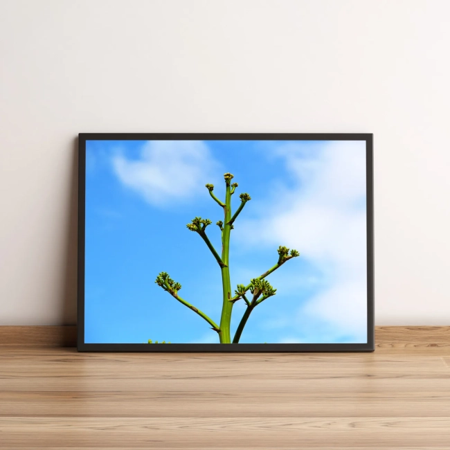 Quadro Decorativo com Planta Verde em Céu Azul Claro 1989