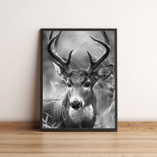 Quadro Cervos em Preto e Branco Elegante 2663