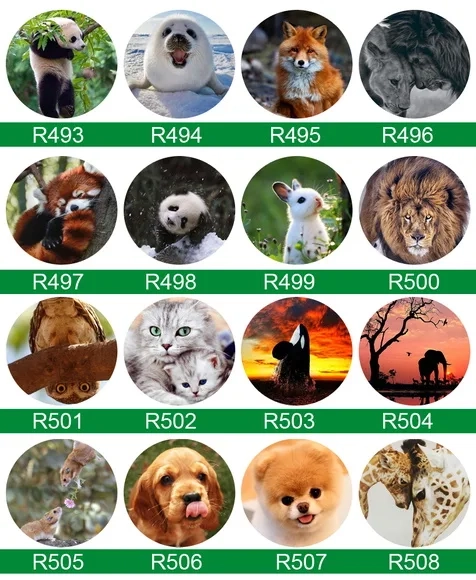 Bottons Animais Fofos - Button Boton