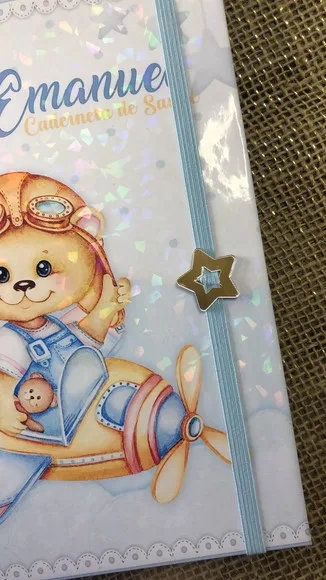 Caderneta de Saúde Vacinação Personalizada Ursinho Aviador
