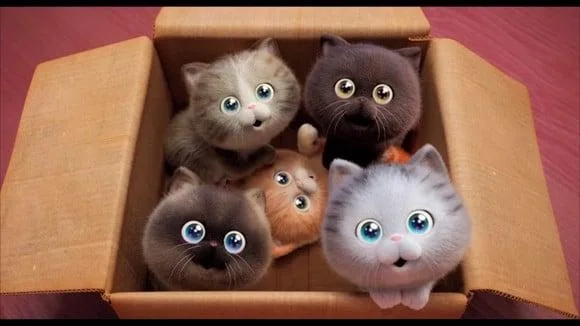 Caixa com Gatinhos RED: Crescer é uma Fera