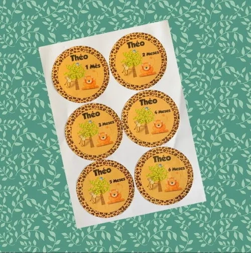 12 Adesivos mêsversário Safari