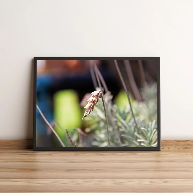 Quadro Decorativo com Paisagem Rural e Lago Tranquilo 1987