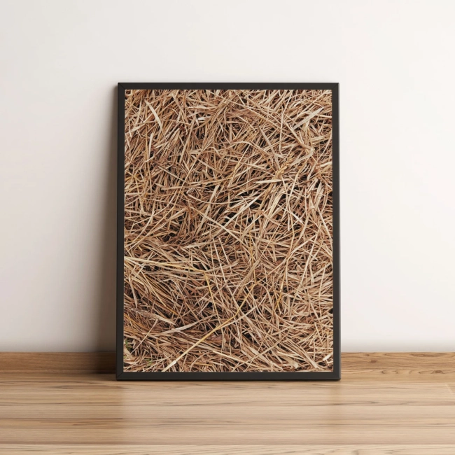 Quadro Decorativo com Textura de Palha Seca Natural 2140
